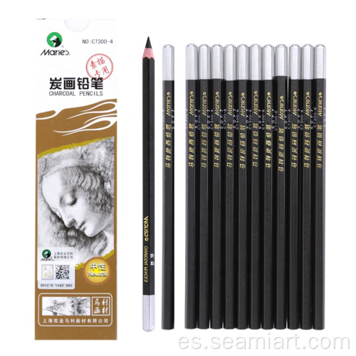 set de lápices de carbón de carbón negro profesional negro